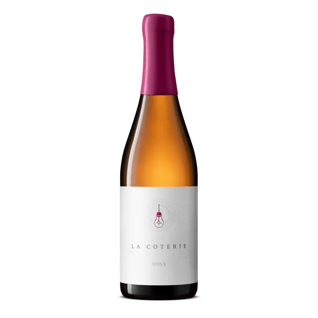 Side Project La Coterie 2025.3 birra 750ml 6%