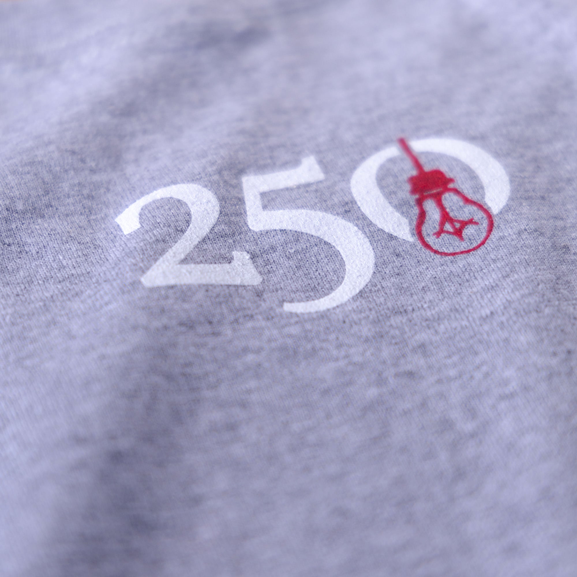 Side Project USA 250 maglietta grigia L 2XL misto cotone