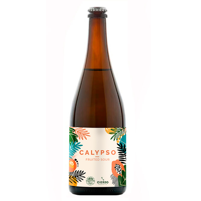 Cierzo Brewing Calypso birra sour 6 bottiglie frutta