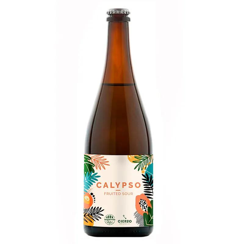 Cierzo Brewing Calypso birra sour 6 bottiglie frutta